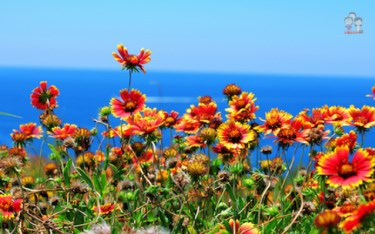 照片：「一哥的玩遍全台灣」BLOG