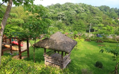 照片：「Doris」BLOG