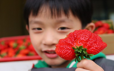 照片：「佑佑皮皮」BLOG