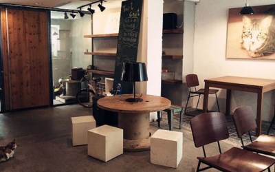 照片：「披著虎皮的貓」BLOG