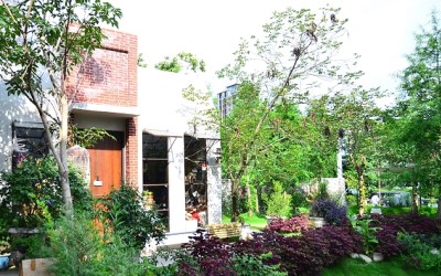 照片：「愛小莎」BLOG