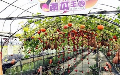 照片：「壞波妞」BLOG