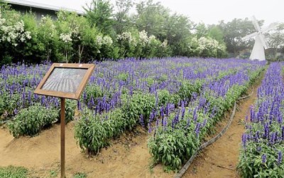 照片：「壞波妞」BLOG
