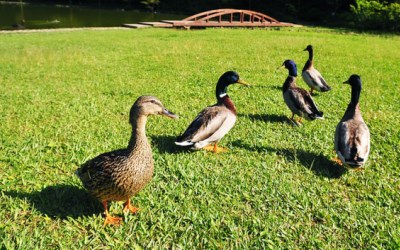 照片：「許傑」BLOG