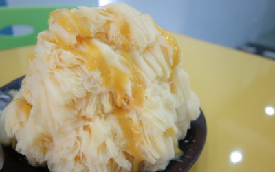 照片：「泰咪」BLOG