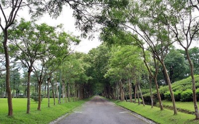 照片：「HoneyMay」BLOG
