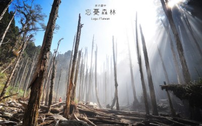 照片：「許傑」BLOG
