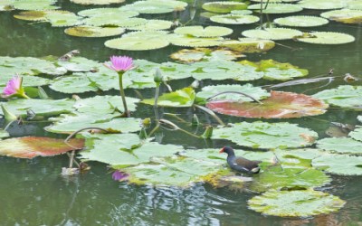 照片：「小風」BLOG