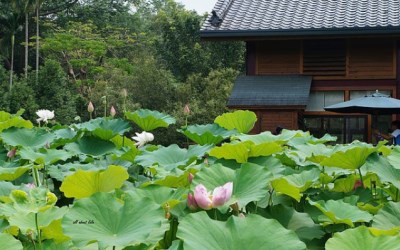 照片：「王拉拉」BLOG