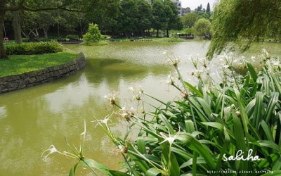 照片：「莎莉哈小姐」BLOG