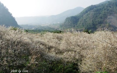 照片：「Linan」BLOG