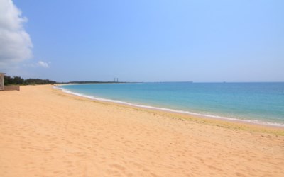照片：「Doris」BLOG