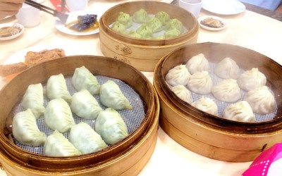照片：「披著虎皮的貓」BLOG