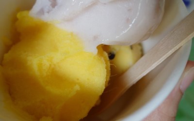 照片：「美食魚樂誌‧小魚」BLOG