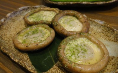照片：「哈比小叮噹」BLOG