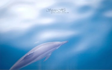 照片：「皮皮君」BLOG