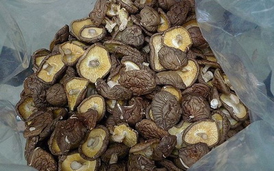 照片：「yummwu」BLOG
