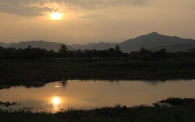 照片：「棋子」BLOG