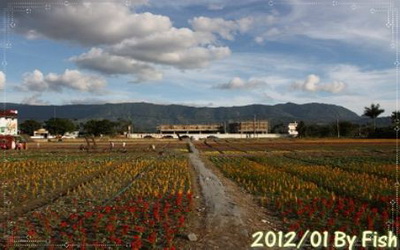 照片：「小魚」BLOG