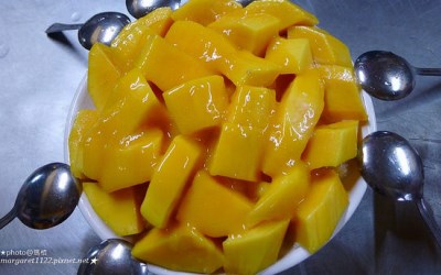 照片：「瑪格」BLOG