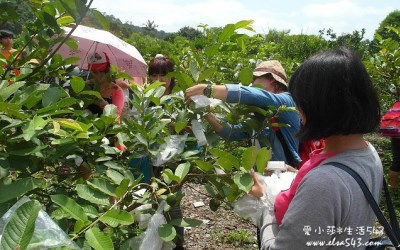 照片：「愛小莎」BLOG