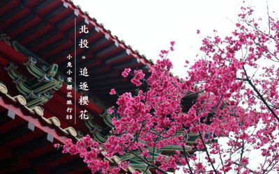 照片：「小兔」BLOG