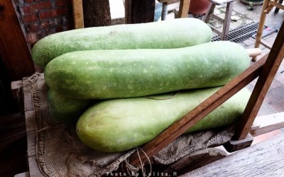 照片：「謝蘿莉」BLOG