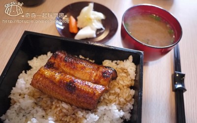 照片：「奇奇一起玩樂趣」BLOG