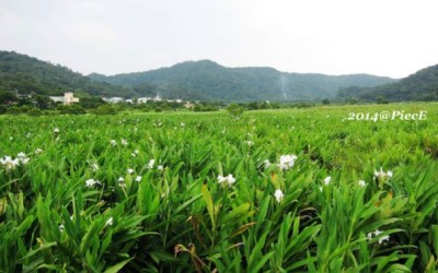 照片：「皮斯」BLOG