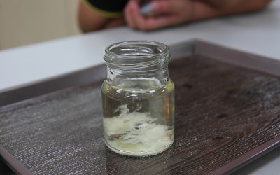 照片：「佑佑皮皮」BLOG