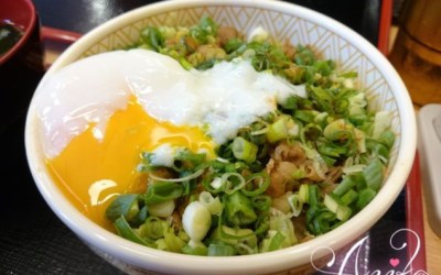 照片：「艾妮可」BLOG