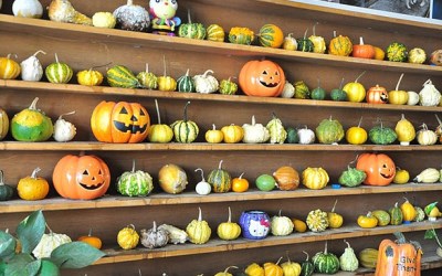 照片：「玟玟」BLOG