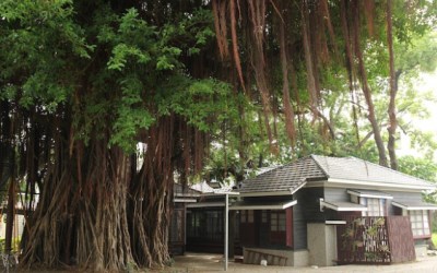 照片：「棋子」BLOG