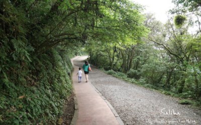 照片：「莎莉哈小姐」BLOG