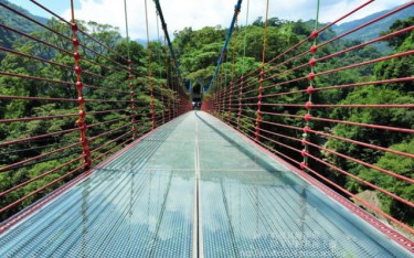 照片：「球球」BLOG