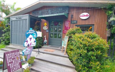 照片：「小環」BLOG