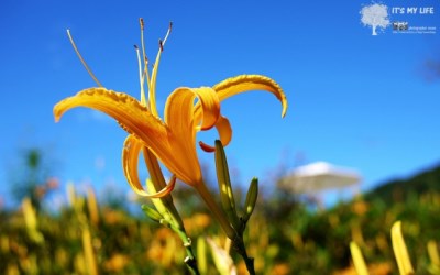 照片：「鍾小七」BLOG