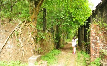 照片：「Brian」BLOG