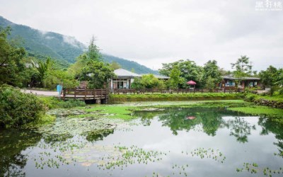 照片：「黑哥桃」BLOG