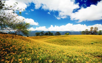 照片：「許傑」BLOG