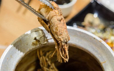 照片：「小虎」BLOG