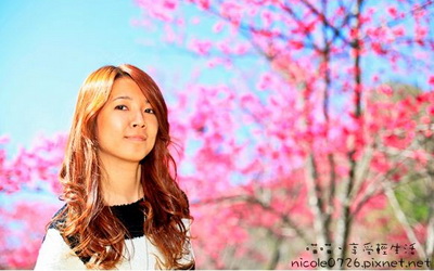 照片：「喵喵」BLOG