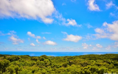 照片：「阿婷」BLOG