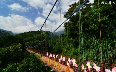 照片：「假日農夫」BLOG