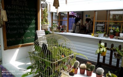 照片：「瑪格」BLOG