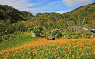 照片：「小風」BLOG