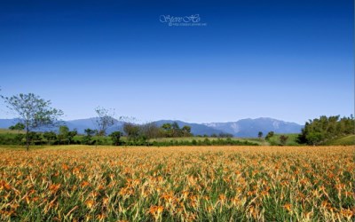 照片：「皮皮君」BLOG