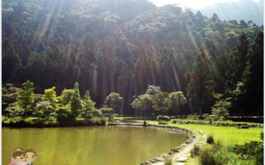 照片：「Tiss」BLOG
