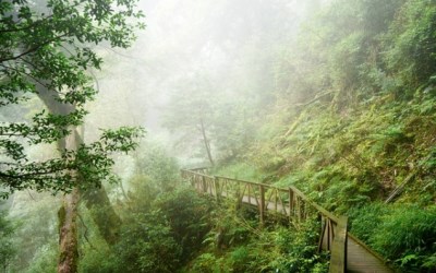 照片：「bluehawaii」BLOG