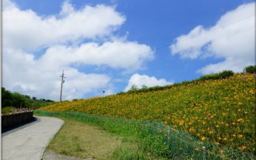 照片：「蘇菲」BLOG